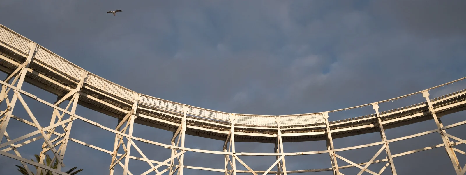 Workshop Experience : Photography Studies College Week #6