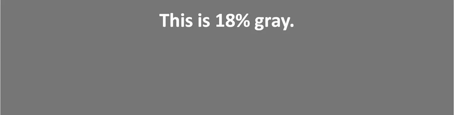 Workshop Experience : Photography Studies College Week #8