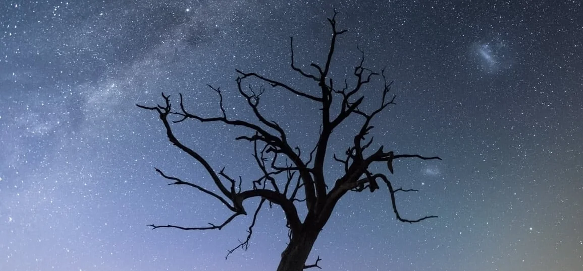 Gear and Process Review : Starscapes and Timelapses