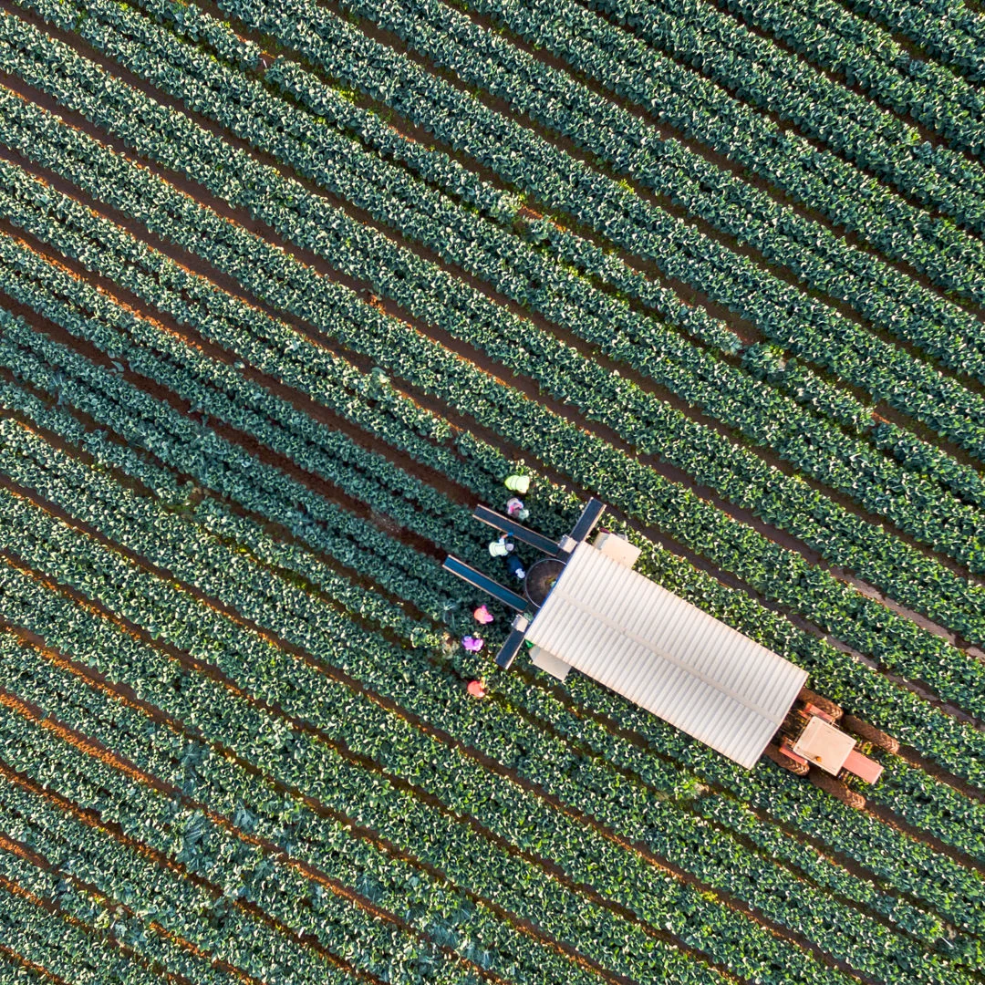 ©LesWillPhoto DJI P3P, ISO200, f2.8, 1/250