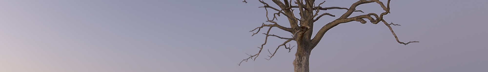 ©LesWillPhoto Canon 6D, 16mm, ISO800, f16, 1/60