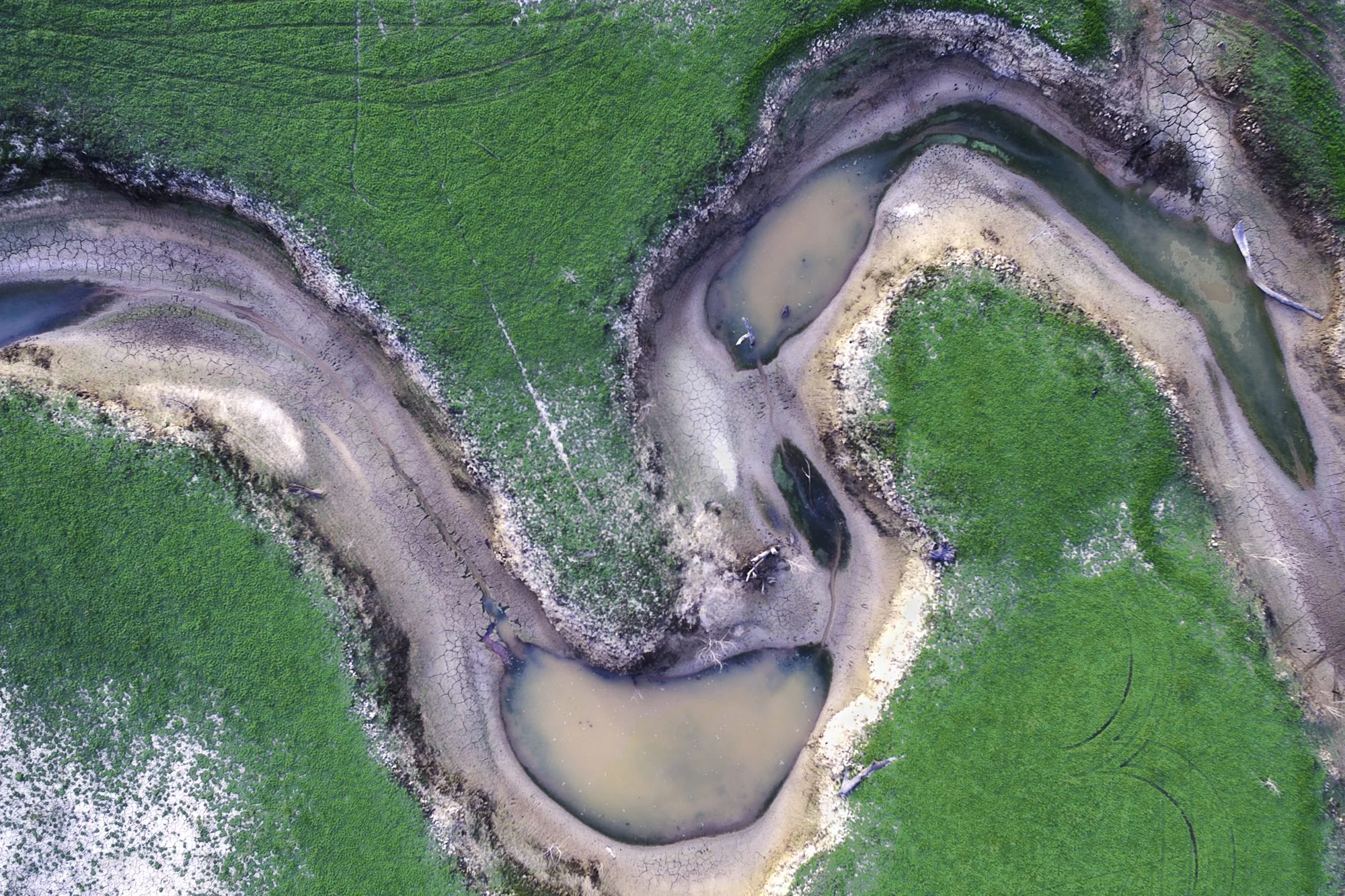 Oysters, Burnt Creek Inlet, Mansfield, Vic