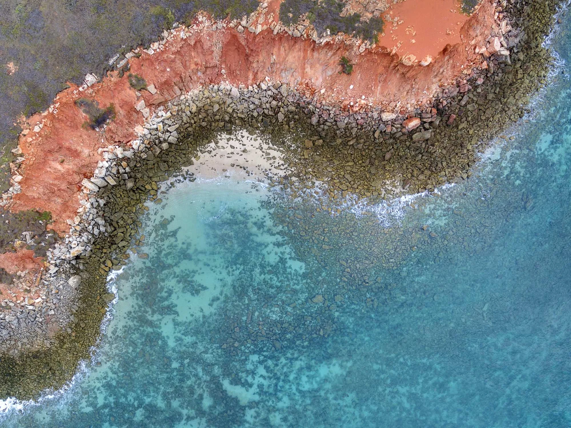 Snake, Cape Leveque, W.A