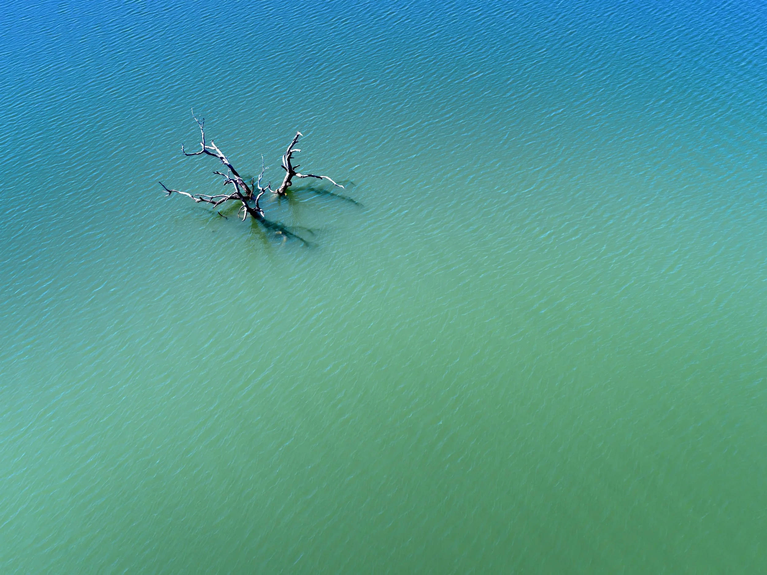 Feb082025_DJI_0387_enfused_original_2025_26689.jpg