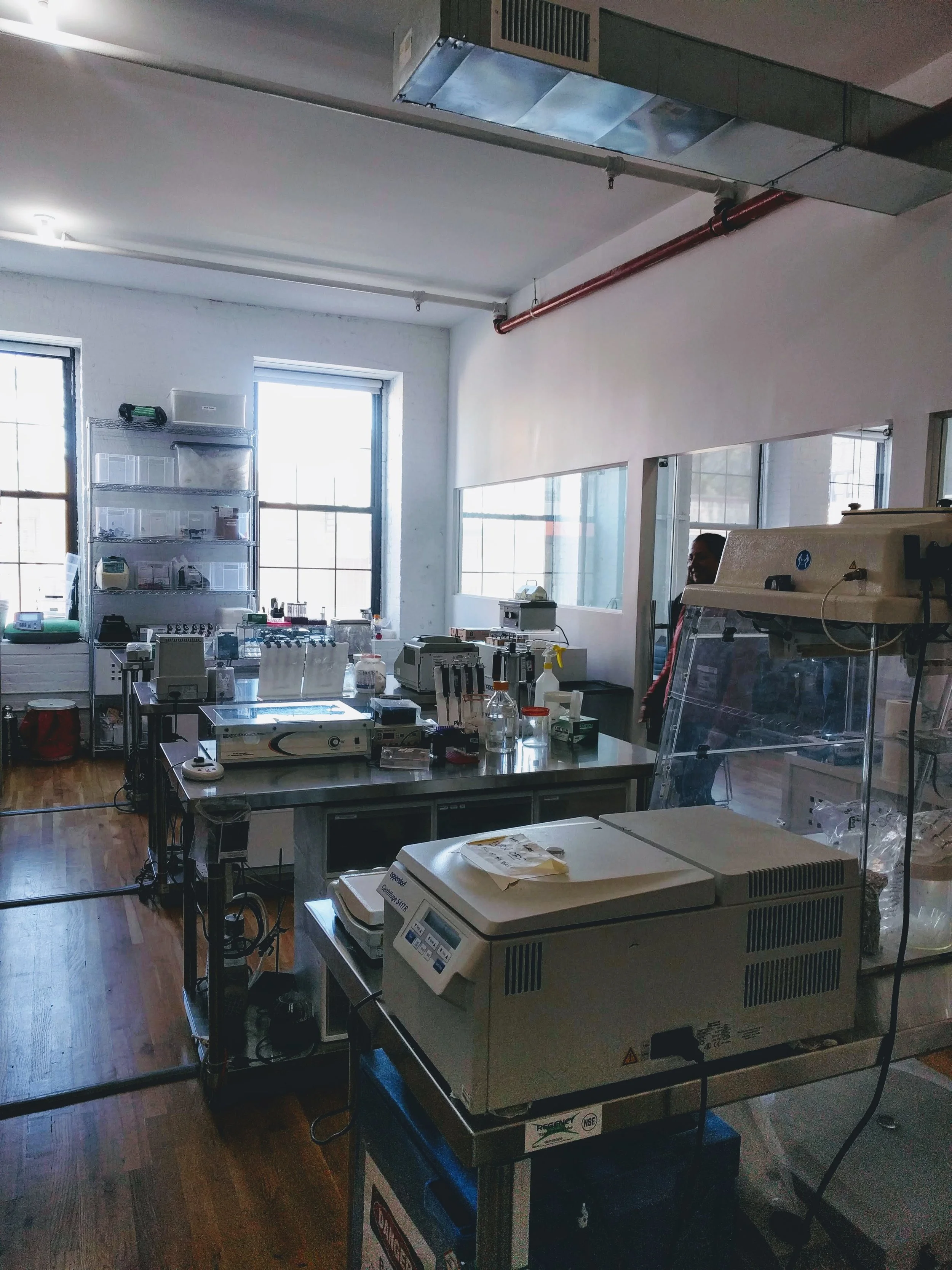 lab3.jpg