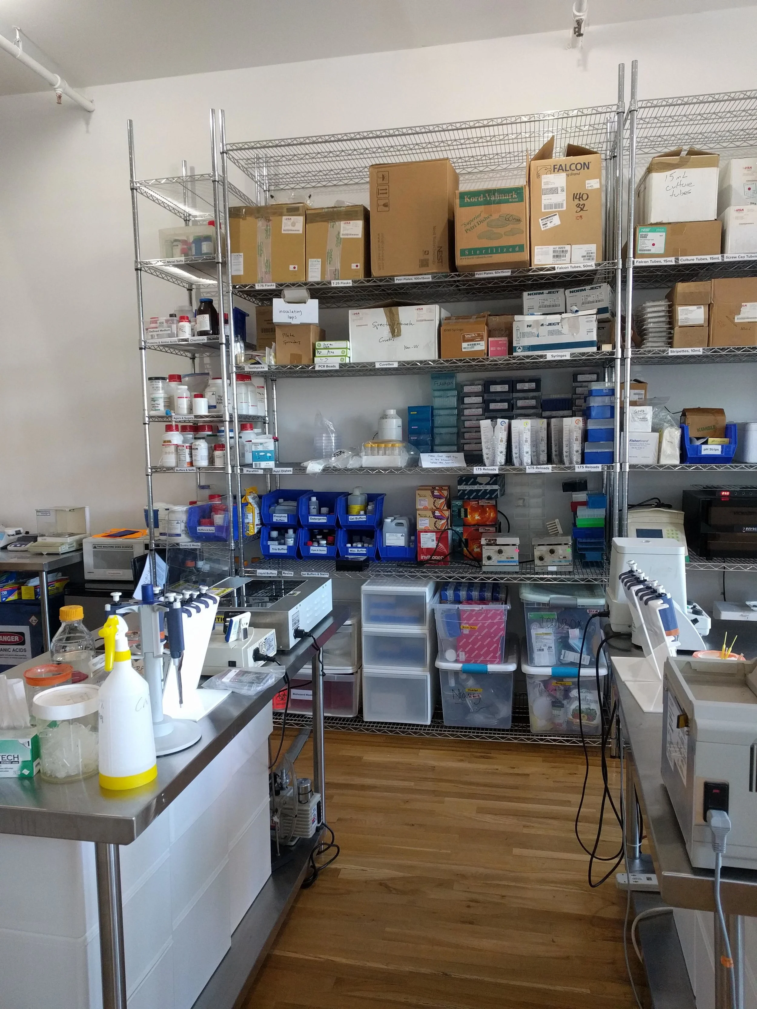 lab5.jpg