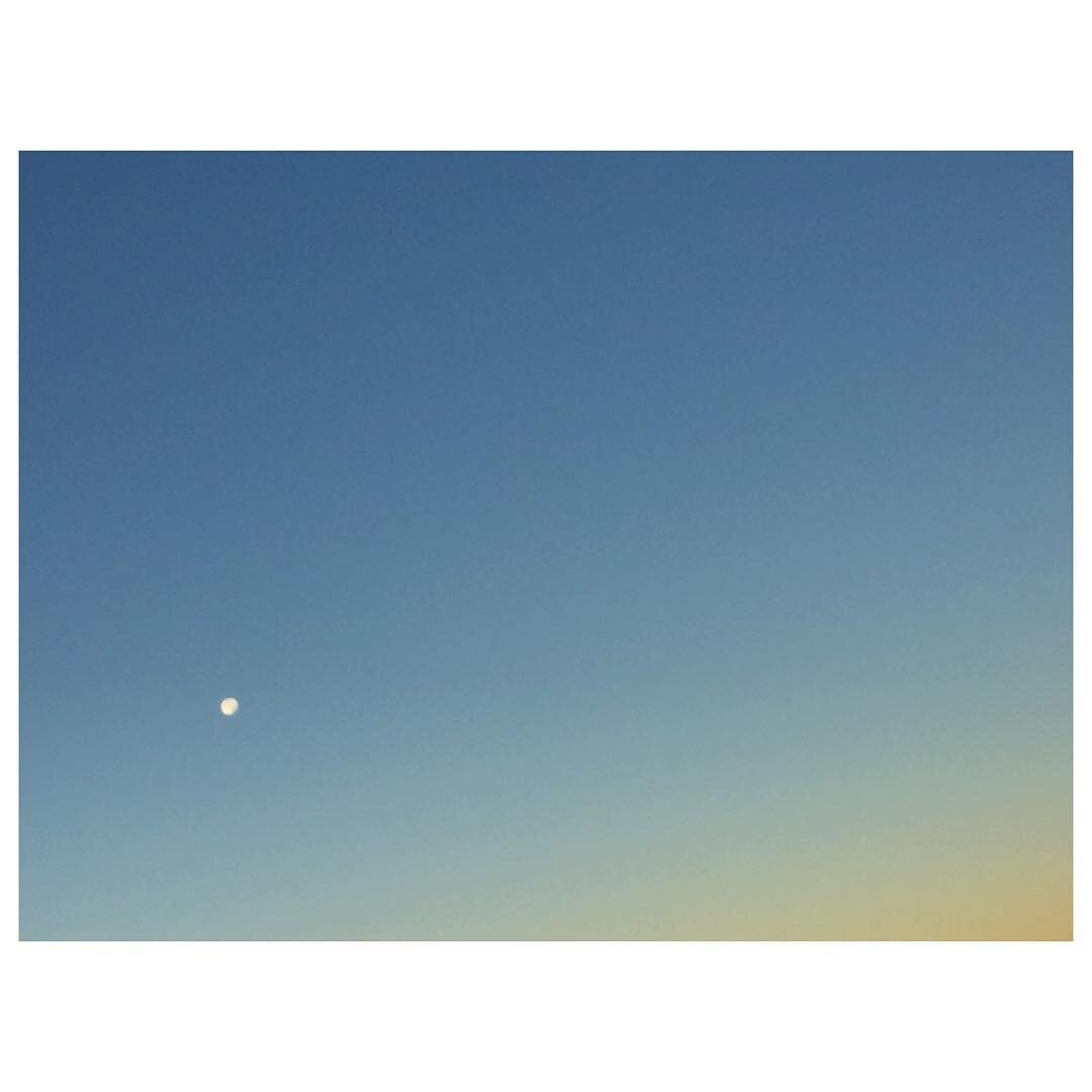 Never not in awe #mindtheminimal #ayemag #gamutmag #trouvemag #shootermag #vernacularphotography #ifyouleave #oftheafternoon #opendoorsgallery #paperjournalmag #archivecollectivemag #subjectivelyobjective #fotoguerrilla #lucecurated #noicemag #foamma