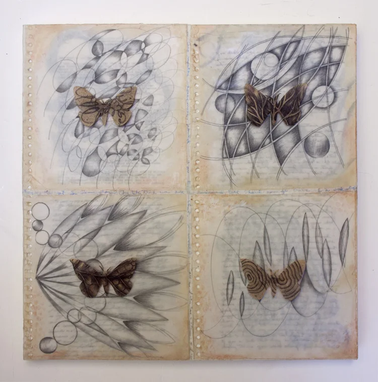 Natural Histories: Layered Sketchbook