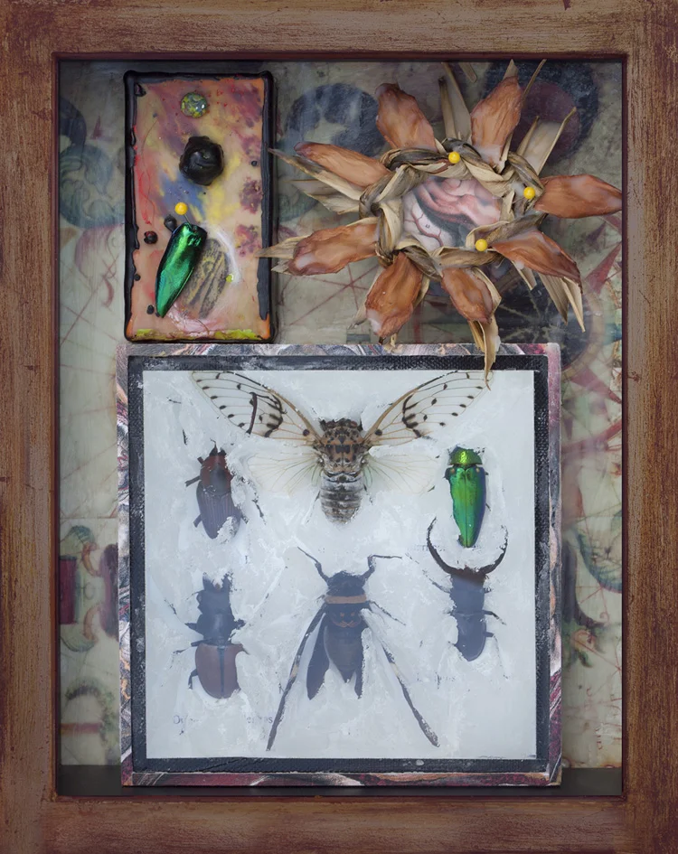 Waxed Bug Box, Encaustic Painting, Ginger Wreath