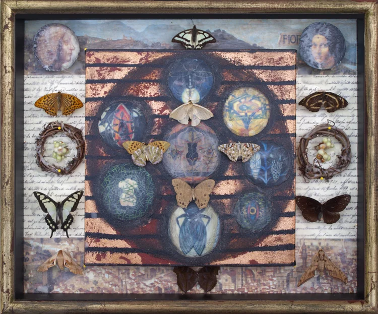 Bronze Striped Canvas, 12 Specimens, Florence