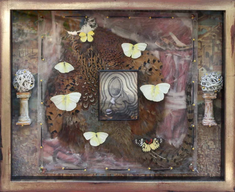 Wax Museum: Butterflies and Pheasant