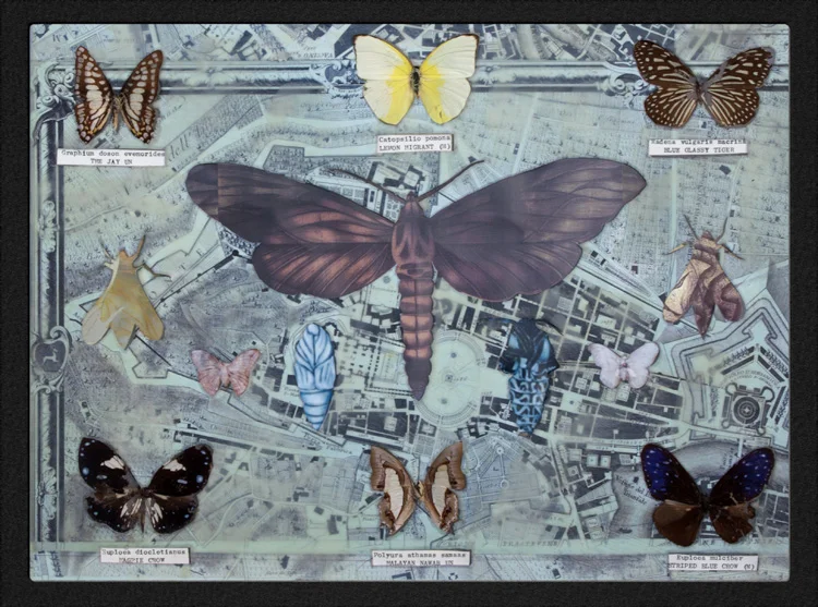 In Formation, Map of Rome