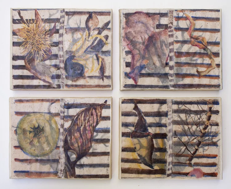 Oaxacan Nature Studies