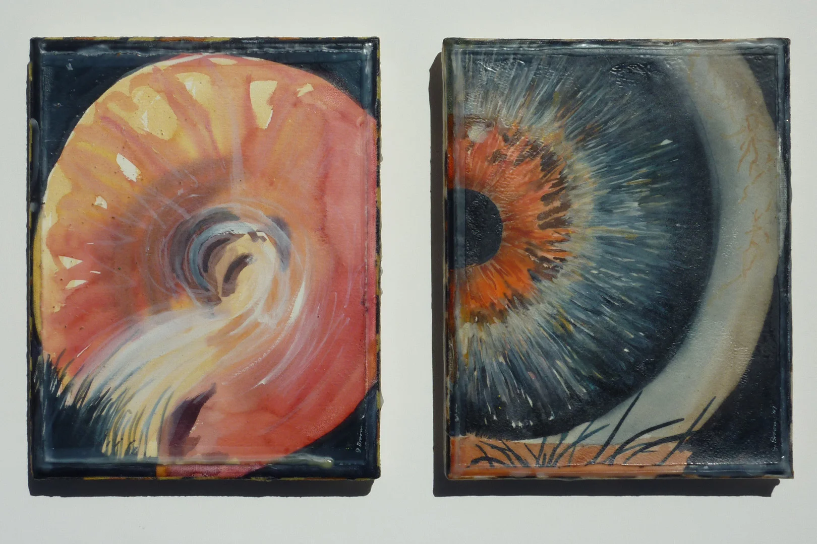 Natural/ Unnatural  (Series)