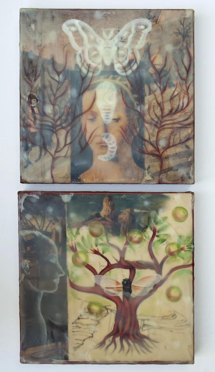 Our Lady Metamorphosis (t) Primordial Spring (b)