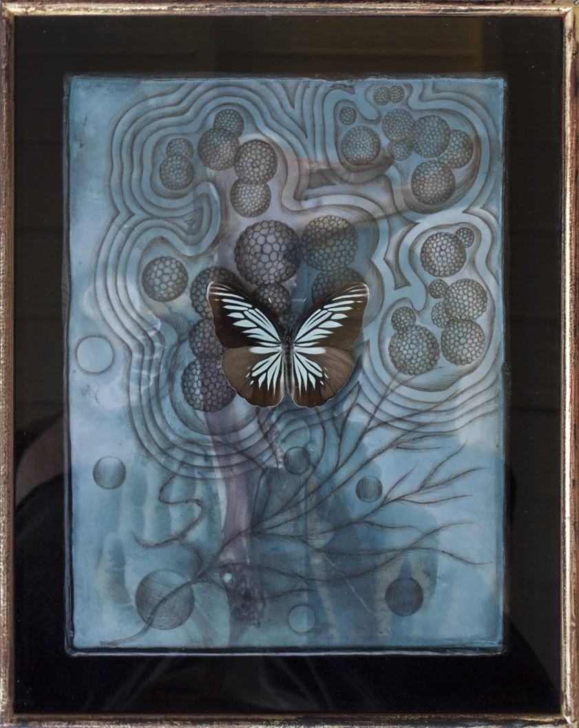 Single Butterfly, Italian Blue Ghost Painting