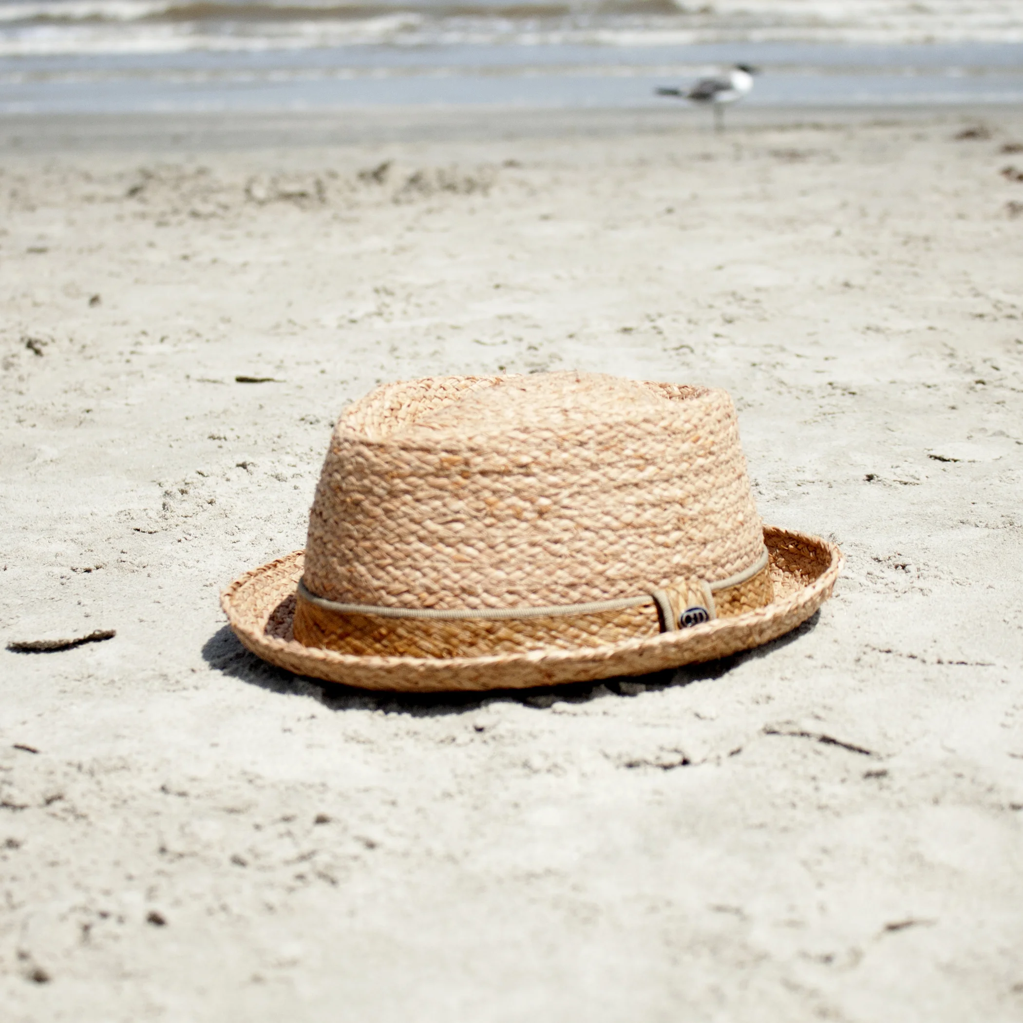Beach Hat.jpg