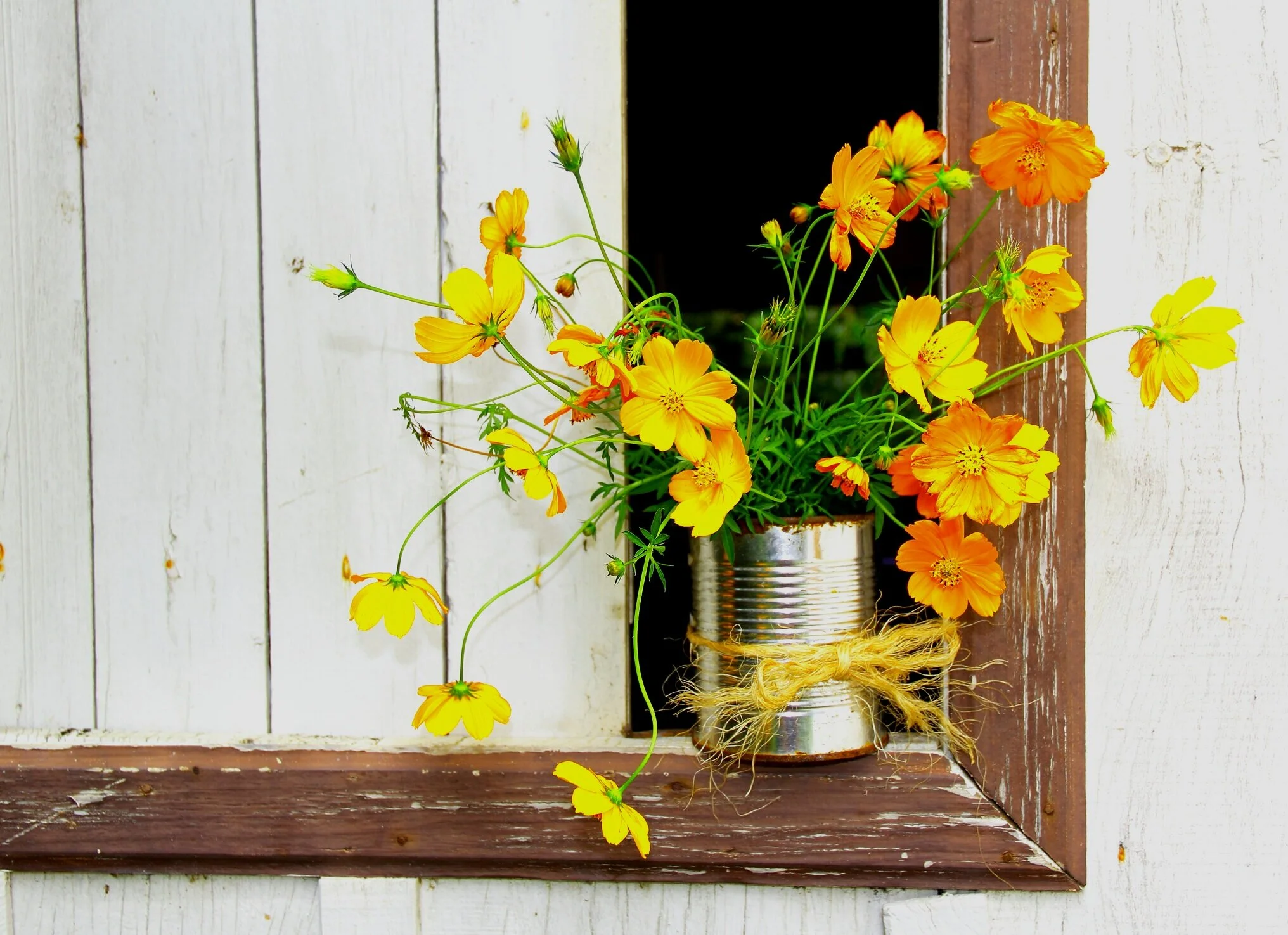 Your Little Bit of Good