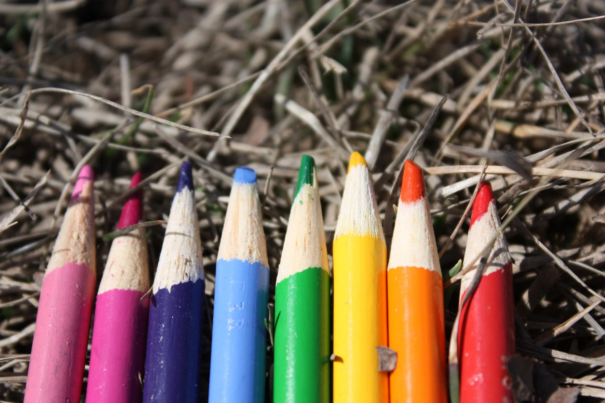 Your Waste-less Classroom