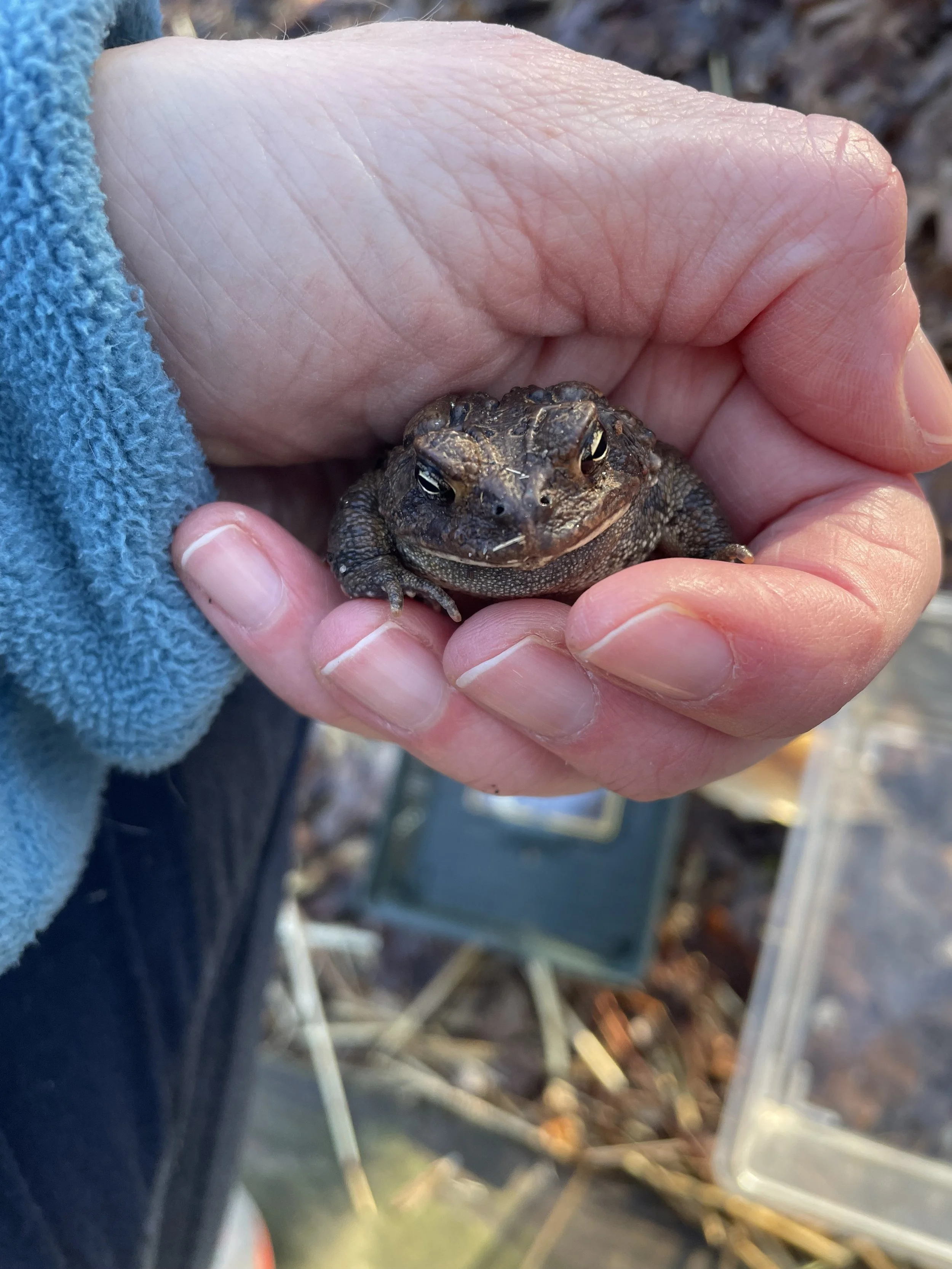 Caught Out in the Cold