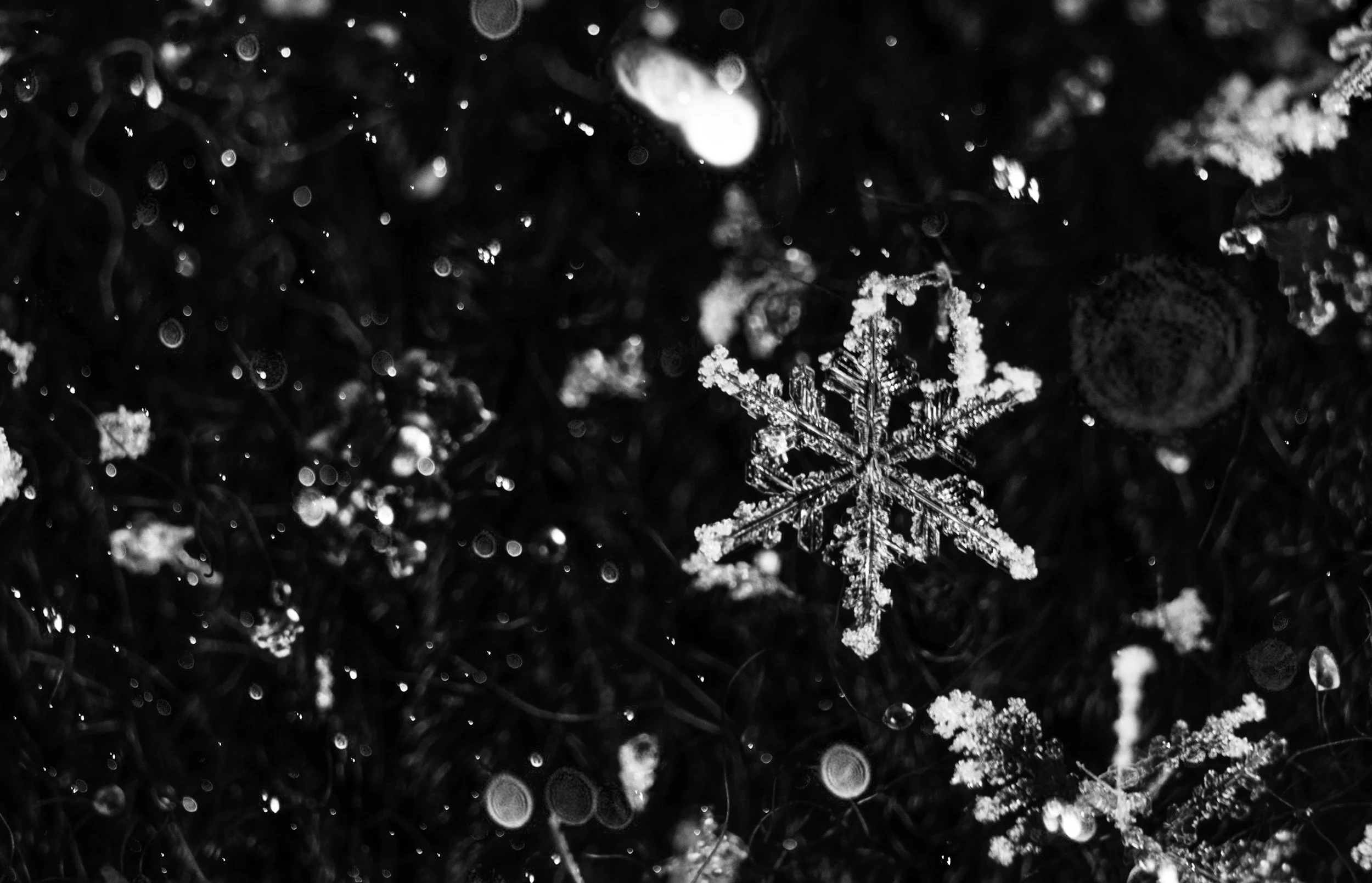 unsplash-image-p0GedUVjWKg.jpg