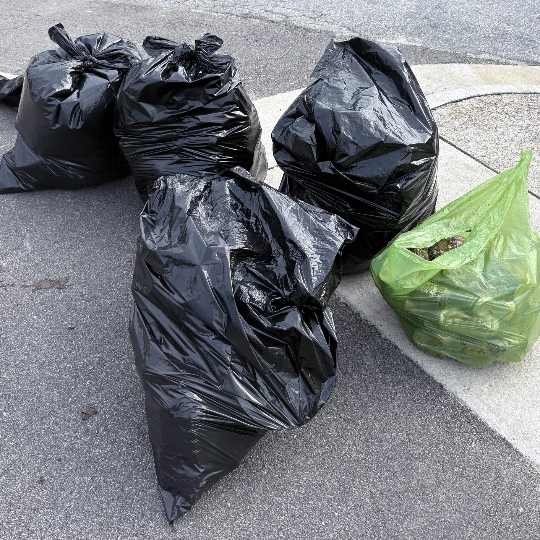 trash nesting.jpg