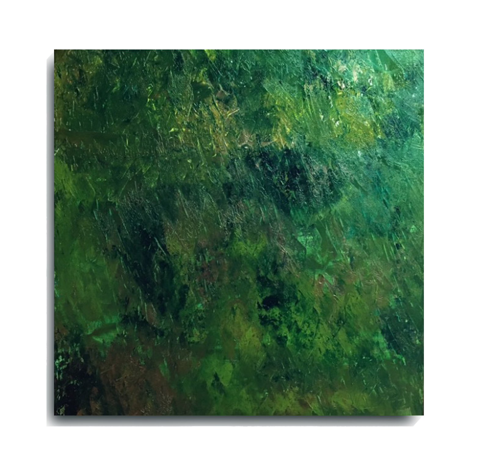 green feathers w shadow.jpg