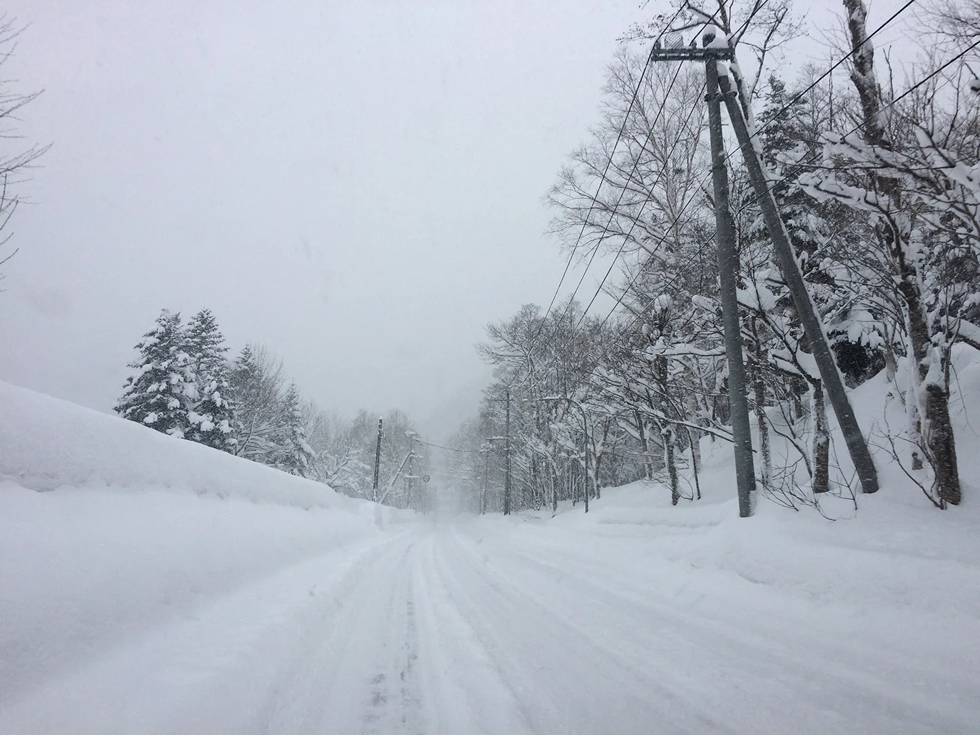 snowrd.jpg