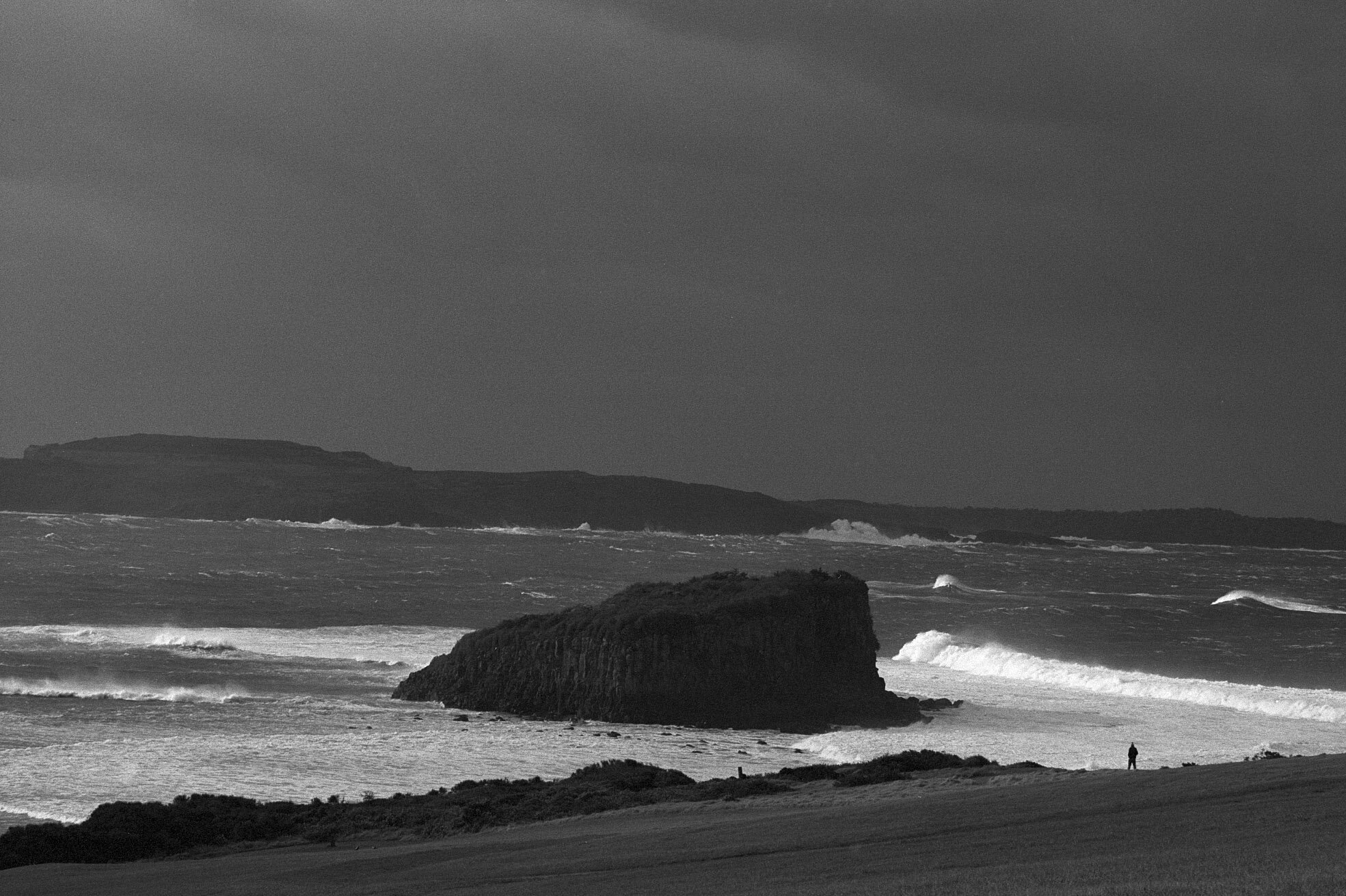 minno2 bw copy2.jpg