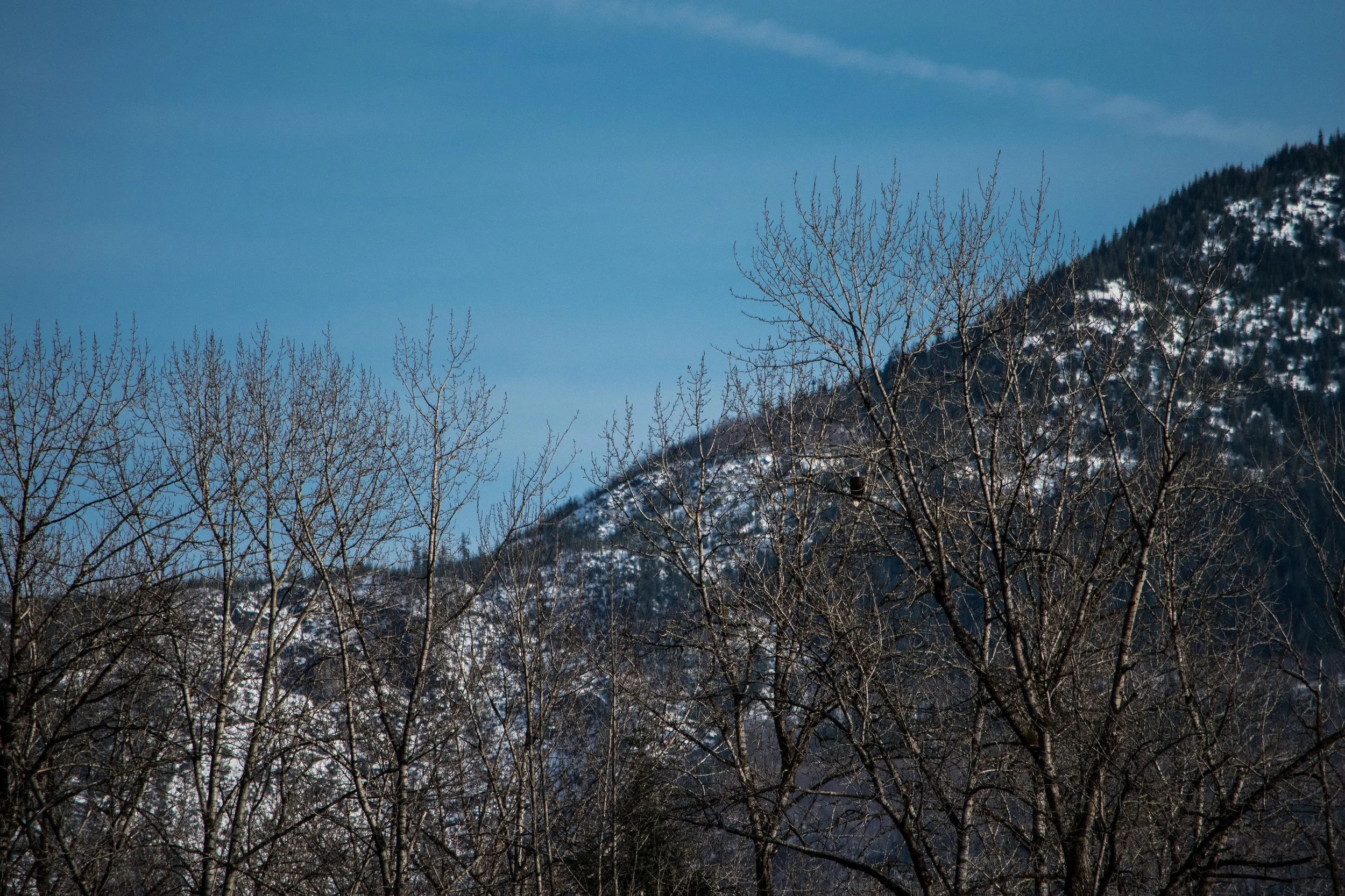 NDS_3970North Cascades.jpg