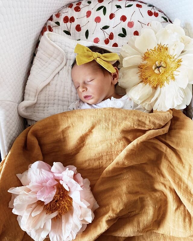 The tiniest Rosewood Floral angel is here 💕🌼 June Elizabeth Langbord🌞🌸 To say the end of my pregnancy and these first few days as a mom was not what I expected back in 2019 would be an understatement of the year . But I know the day you&rsquo;ll 