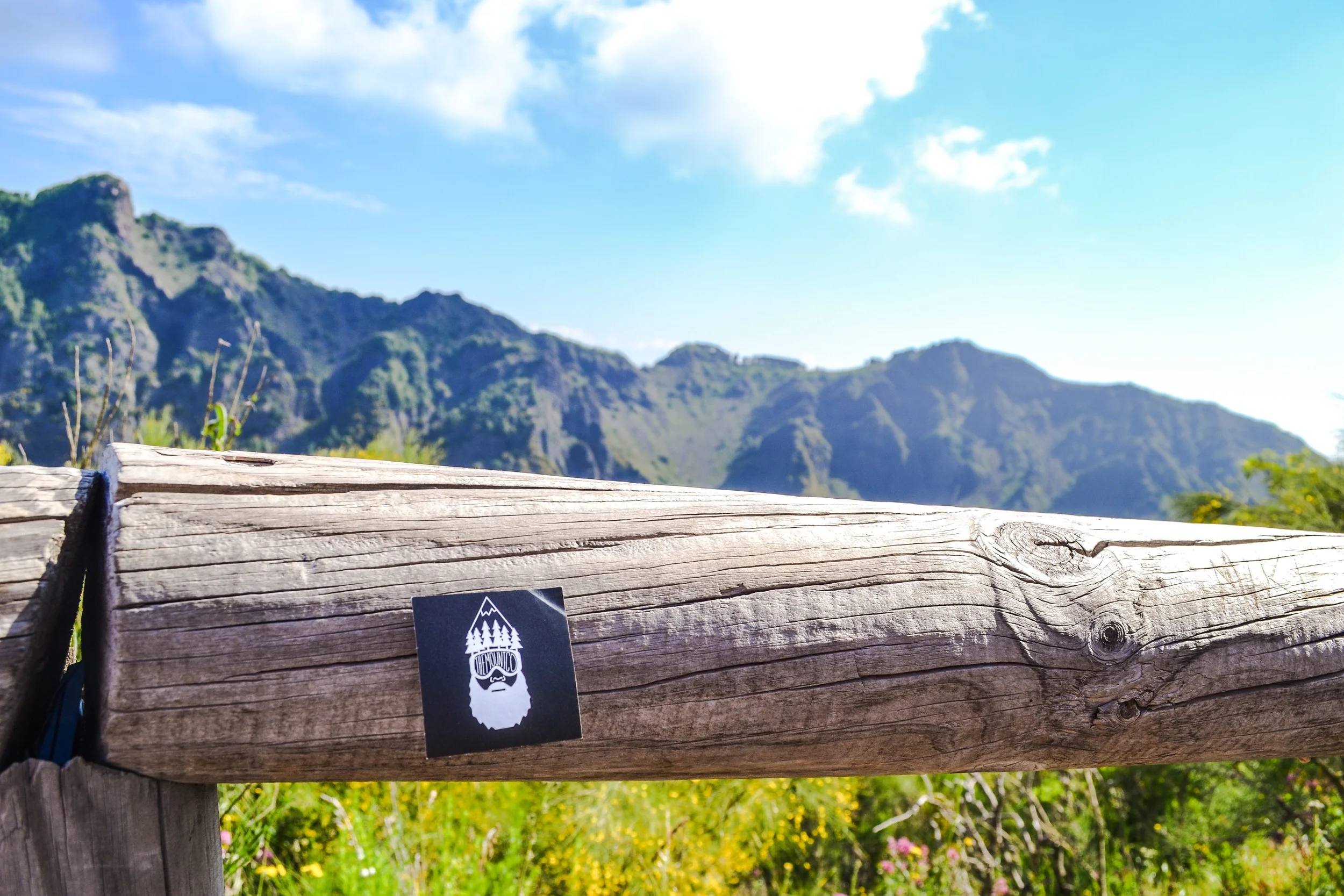Credit: Maggie FitchLocation: Mt. Vesuvius in Napoli, Italy