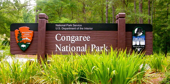 congaree-national-park.jpg