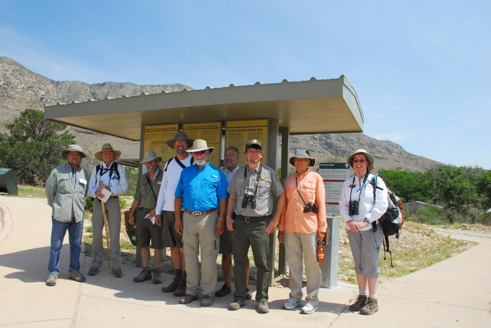 The Bearded Man's rattlesnake posse. They are all willing to take a bite for The Bearded Man. 