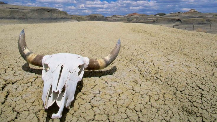 Q. How did a steer skull find its way to the floor of Death Valley? A. Clearly aliens. Q. What is a Polygon? A. Footprints left behind by aliens.