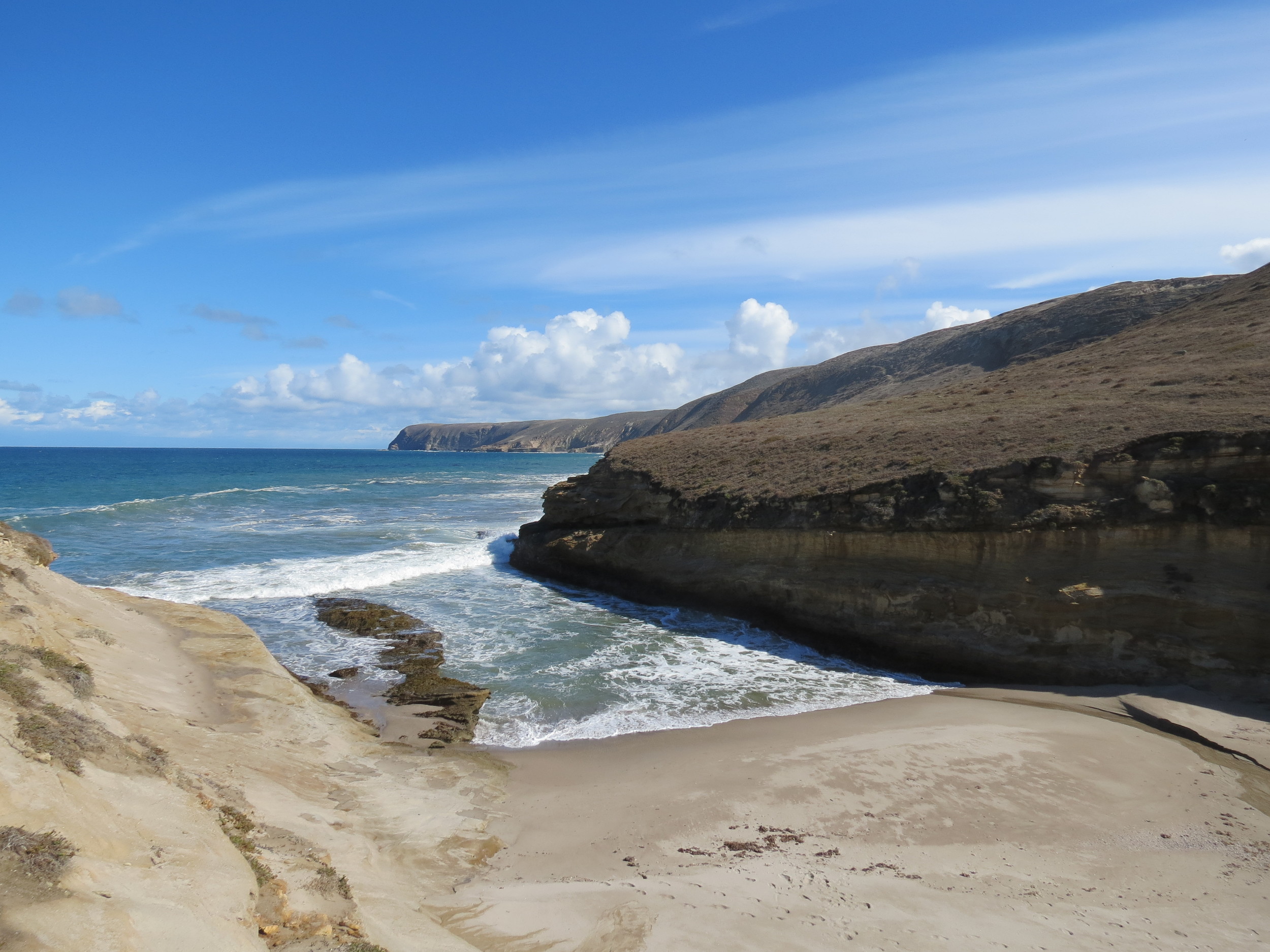 The secluded beach at the mouth of Lobo Canyon, site of the infamous Cow Tail incident. Did The Bearded Man give a piece of his Cow Tail to an Olive-sided Flycatcher or was it stolen by a Western Gull? The proper authorities have been notified and several gulls detained. 