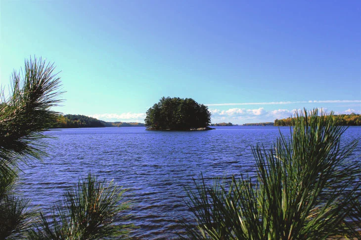 TINY ISLANDS SPROUT FROM THE LAKES. IF GOFUNDME WORKS I MIGHT RENT ONE AND DEVELOP AN UNDERGROUND LAIR.