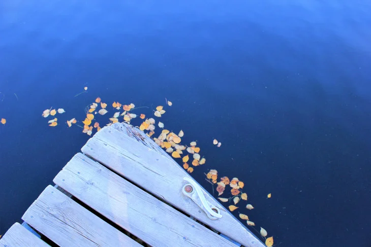 I FOUND THESE SMALL LEAVES TRYING TO ESCAPE THE LAKE. THEIR PLAN WAS TO FORM A CHAIN AND ONE BY ONE CLIMB ONTO THE DOCK. BEYOND THAT, THEIR PLAN WASN’T FULLY DEVELOPED.