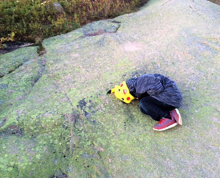 PIKACHU WAS LESS THAN IMPRESSED WITH THE FIRST RAYS OF SUN.