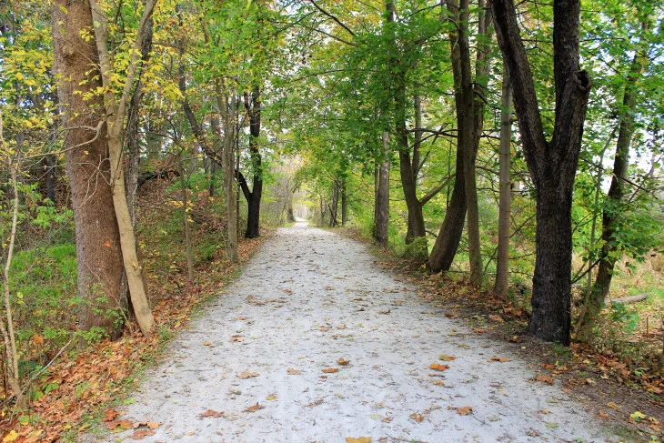 RARE SIGHT ON THE TOWPATH. IMMEDIATELY AFTER I SNAPPED THIS PHOTO, A COUPLE ON BIKES AND A JOGGER PASSED BY. HOWEVER, I DID NOT SEE A SINGLE UNICYCLE.
