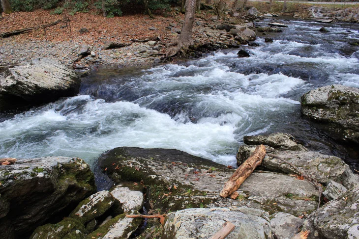 THE EVER HYPNOTIZING LITTLE RIVER. I STILL SEE THIS RIVER IN MY DREAMS.
