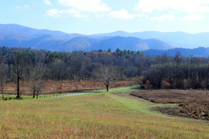  SLIVER OF CADES COVE AS YOU WALK DOWN FROM THE JOHN OLIVER HOME BUILT IN THE 1820’S. I HAD TO WAIT 20 MINUTES TO GET A SHOT WITHOUT A CAR. 