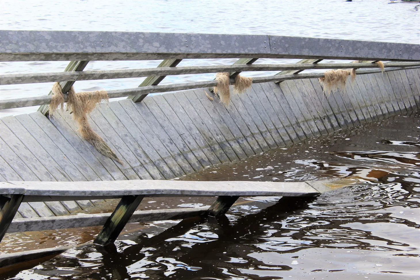 A SECTION OF BOARDWALK TWISTED INTO THE DARK BROWN WATERS.