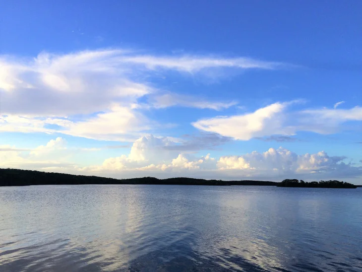 VIEW FROM THE SMALL PARK DIRECTLY IN FRONT OF THE BISCAYNE VISITOR’S CENTER. I SAT HERE ONE EVENING UNTIL THE SUN WENT DOWN AND THEN MADE MY WAY BACK TO THE EVERGLADES.