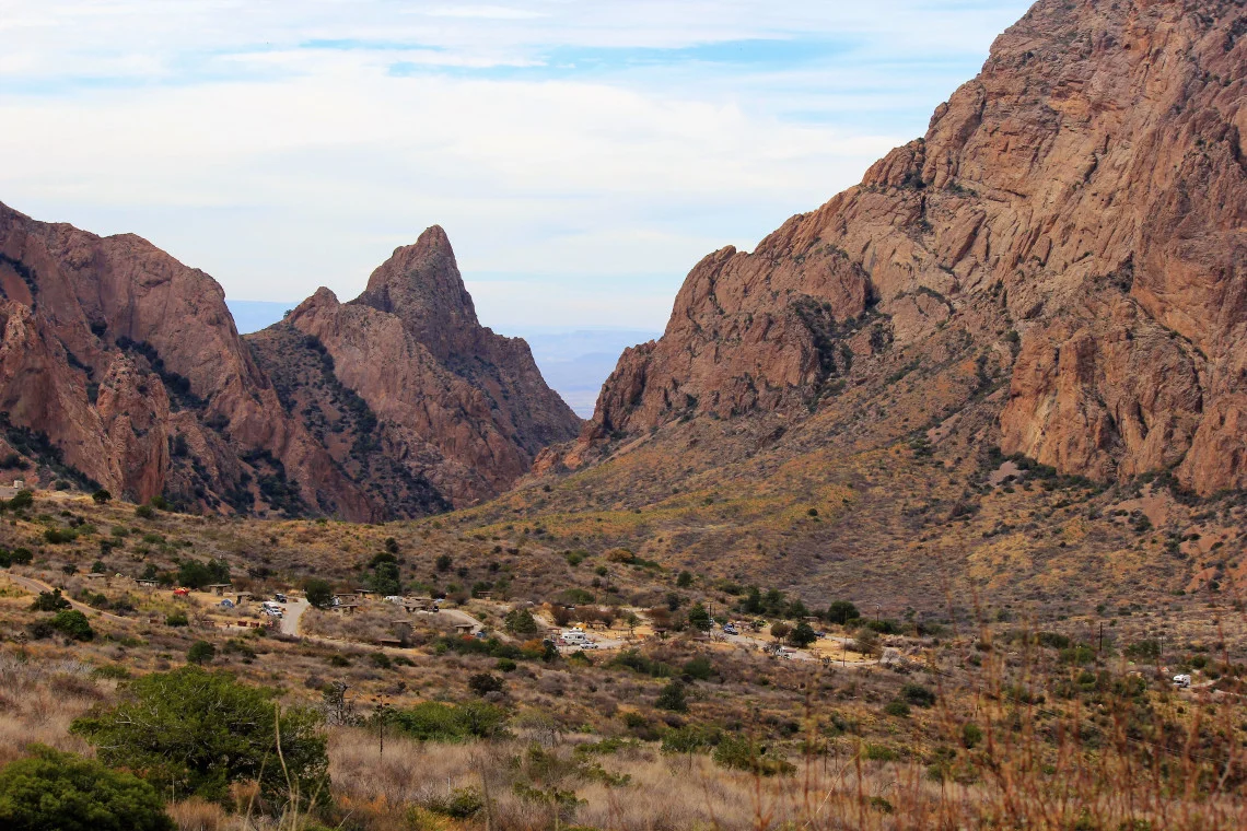 I can say with complete certainty that there is a mountain lion in this photo.