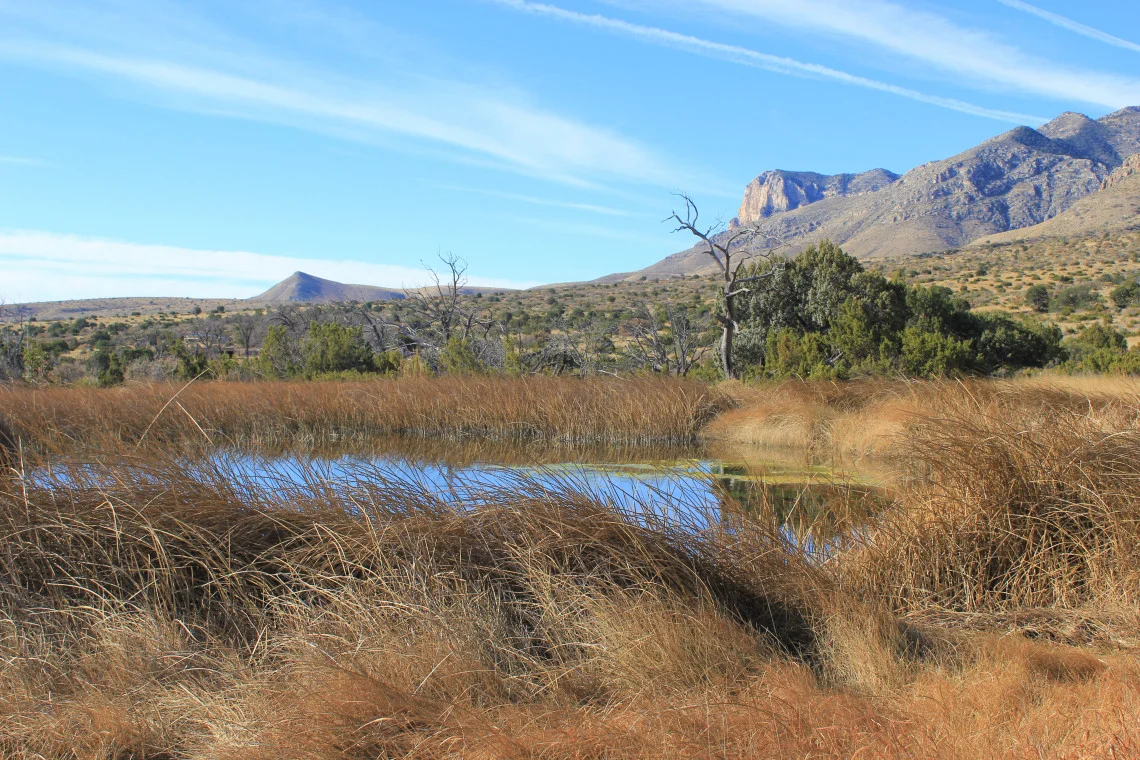 A small life giving oasis in the desert with the ever present El Capitan in the distance.
