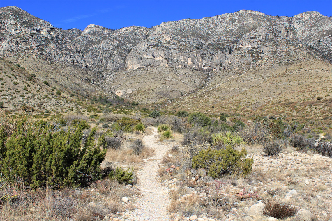 The trail leading to Smith spring.