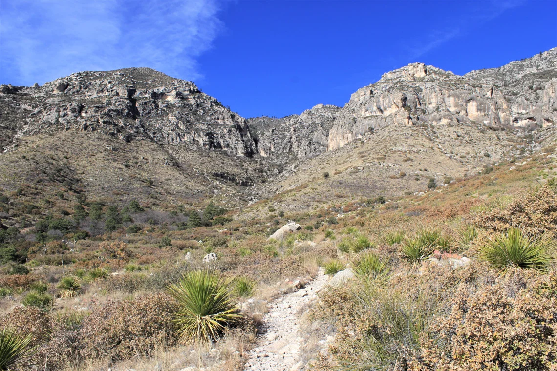 Hiking into McKittrick Canyon. There are 1,434 rattlesnakes in this photo