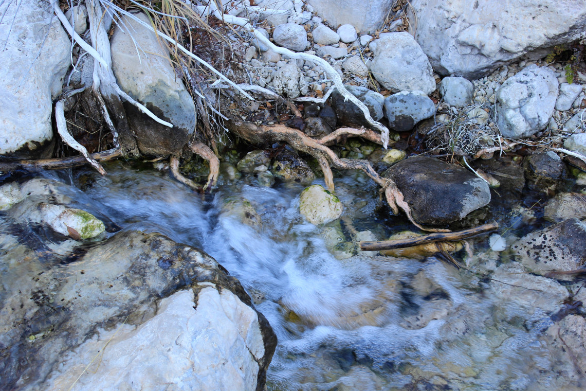 A stream moves down from the canyon.