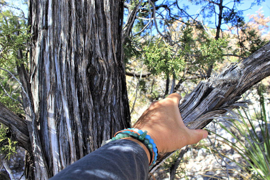 For some reason I like to put my hand on trees. I’m thinking about seeing someone for it